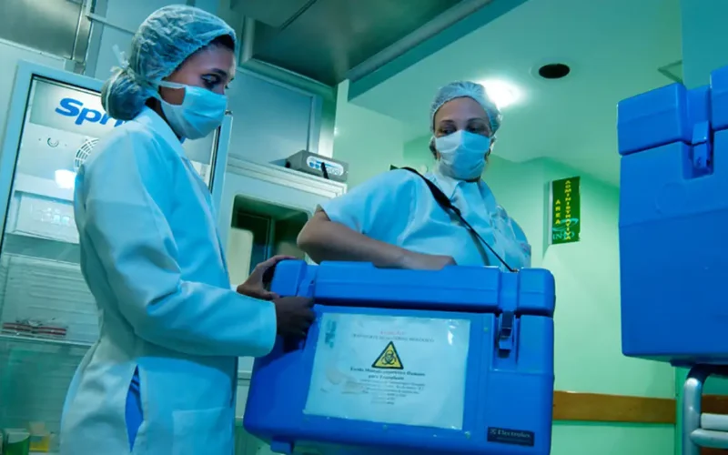 Brasil bate recorde histórico de 31 mil transplantes em 2025