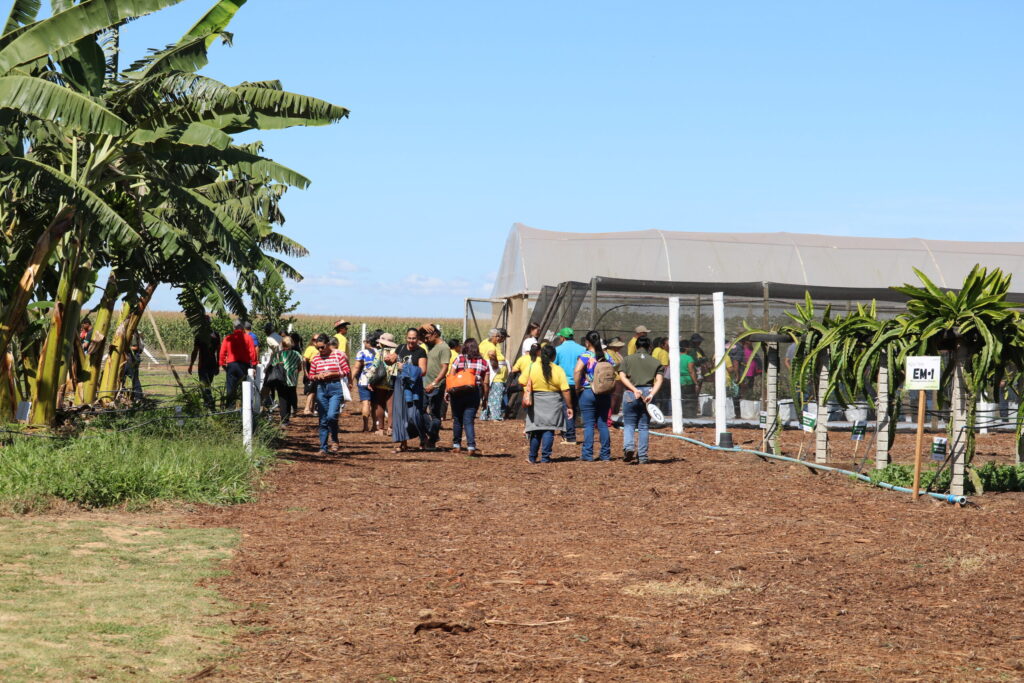 Emater-DF leva circuito de fruticultura à AgroBrasília 2026