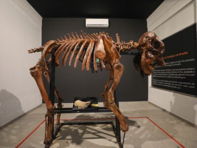Museu do Zoo de Brasília reabre com roteiro interativo e acessível