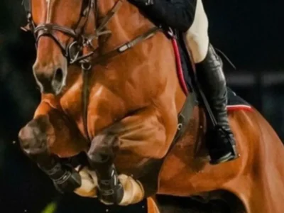 Candangão 2026: Hipismo brasiliense tem evento de 11 a 14 de junho