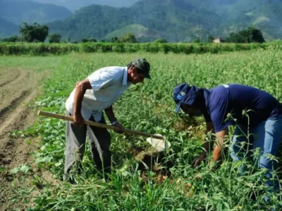 DF orienta sobre regularização de ocupação rural