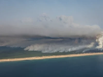 Incêndio na França: paraíso de Cap Ferret vira zona de catástrofe