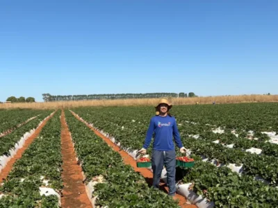 Agricultura familiar: 10 mil pessoas levam alimento à mesa no DF