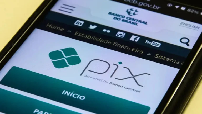 MEI: Pix ou maquininha? Veja o que pesa no caixa
