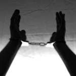 Brasileiros seguem presos na Islândia após ato contra caça de baleias